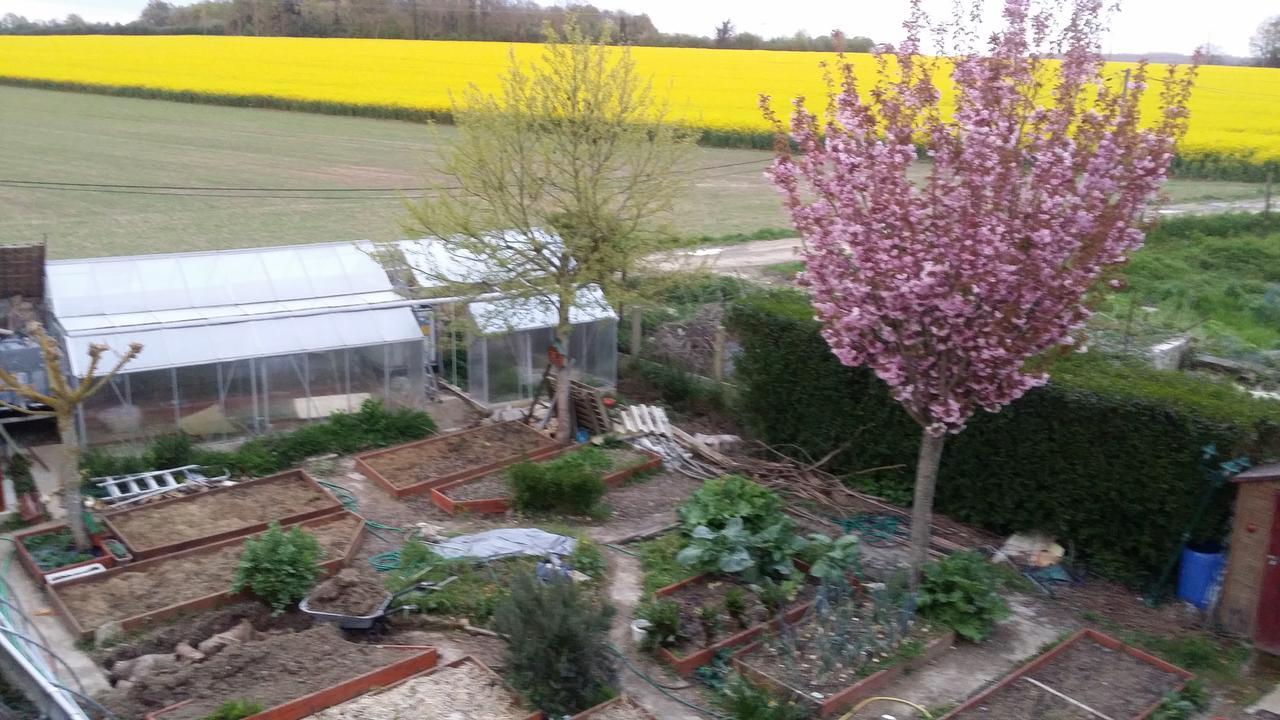 Les Nympheas, Appart Au Calme Et Grand Jardin A 15 Min De Disneyland, Crecy-la-Chapelle Exterior photo